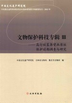 文物保护科技专辑  高句丽墓葬壁画原址保护前期调查与研究