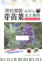 阳台菜园  芽苗菜无土栽培