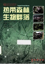 热带森林生物群落