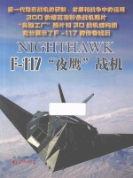 F-117“夜鹰”战机