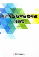 审计专业技术资格考试习题集