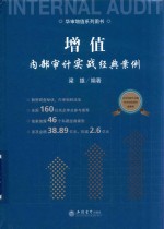 增值  内部审计实战经典案例