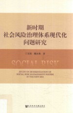 新时期社会风险治理体系现代化问题研究