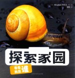 看看我是谁 探索家园 0-6岁