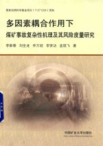 多因素耦合作用下煤矿事故复杂性机理及其风险度量研究