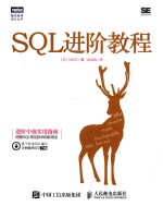 SQL进阶教程