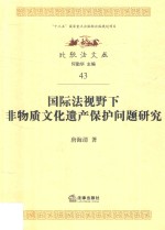 国际法视野下非物质文化遗产保护问题研究