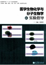 医学生物化学与分子生物学实验指导