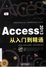 Access 2013从入门到精通