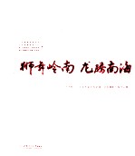 狮舞岭南龙腾南海 大沥杯广东省首届全国龙狮龙舟摄影大展作品集