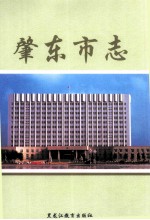 肇东市志 1982-2000