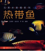 完美水族箱系列 热带鱼