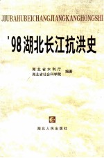 '98湖北长江抗洪史