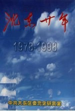 沈东二十年 1978-1998