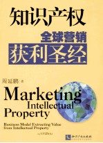 知识产权全球营销获利圣经＝MARKETING INTELLECTUAL PROPERTY;BUSINESS MODEL EXTRACTING VALUE FROM INTELLECTURAL PROP