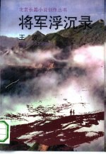 将军浮沉录