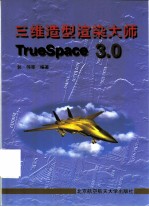 三维造型渲染大师TrueSpace 3.0