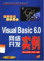 Visual Basic 6.0网络开发实例