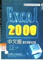 Excel 2000中文版操作详解与实例