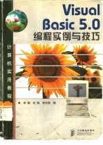 Visual Basic 5.0编程实例与技巧