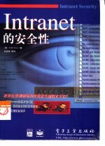 Intranet的安全性