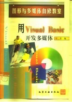 用Visual Basic开发多媒体