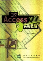 中文Access 2000实用教程