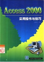 Access 2000实用操作与技巧