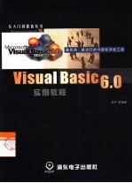 Visual Basic 6.0实例教程