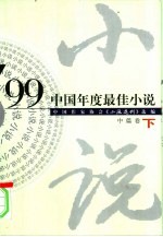 中国年度最佳小说·’99·中篇卷 下