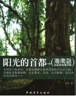 阳光的首都 海南岛自助游深度攻略