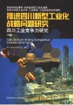 推进四川新型工业化战略问题研究 四川工业竞争力研究 下