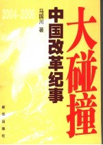 大碰撞 2004-2006中国改革纪事