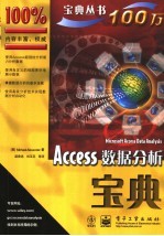 Access数据分析宝典