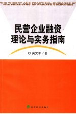 民营企业融资理论与实务指南