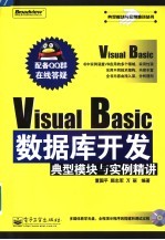 Visual Basic数据库开发典型模块与实例精讲