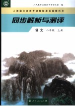 同步解析与测平  语文