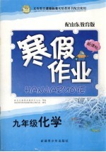 新课标假期作业 化学 九年级 山东教育版