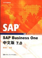 SAP Business One中文版7.0