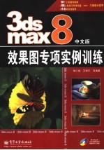 3ds max 8中文版效果图专项实例训练