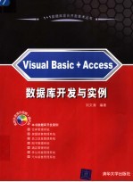 Visual Basic+Access数据库开发与实例