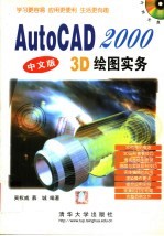 AutoCAD 2000中文版  3D绘图实务