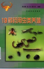 19种药用虫类养殖