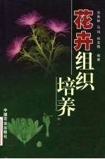 花卉组织培养