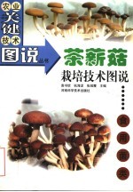 茶薪菇栽培技术图说