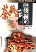 茶薪菇高效栽培技术