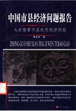 市县政府与当地经济发展  中国市县经济问题报告