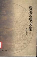 费孝通文集 第15卷 1999-2001