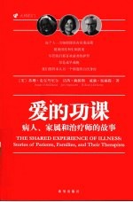 爱的功课 病人、家属和治疗师的故事