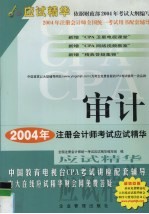 2004年注册会计师全国统一考试应试精华 审计